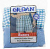 Picture of Gildan