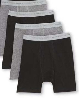 Picture of Hanes
